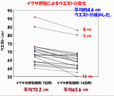イグサでウエスト減少