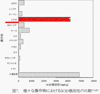 イグサの活性酸素消去